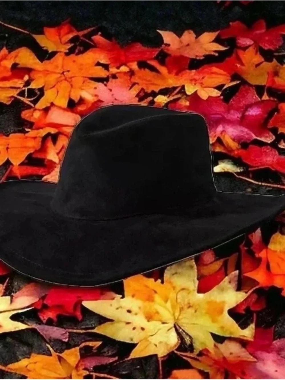 San Diego Hat Co. | Anthropologie Faux Suede Fedora Black